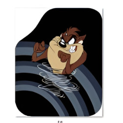 GENEL MARKA DEKOR PASPAS TAZMANYA 4'LÜ SET