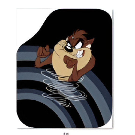 GENEL MARKA DEKOR PASPAS TAZMANYA 4'LÜ SET