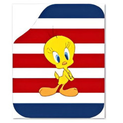 GENEL MARKA DEKOR PASPAS TWEETY 4'LÜ SET