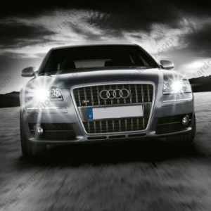 AUDI A6 D2S XENON OTO AMPUL PHOTON 4300K (2004-2008)