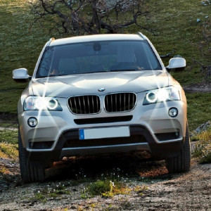 BMW X3 F25 XENON OTO AMPULÜ PHOTON D1S 4300K (2010-2017)