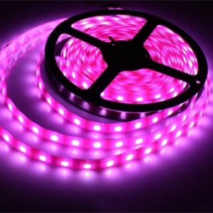 ŞERİT LED 5050 (ÜÇ ÇİPLİ) SİLİKONLU 5MT PEMBE 24V
