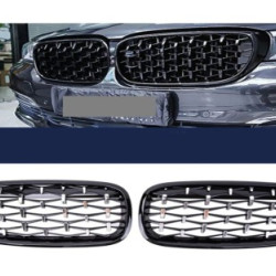 BMW X-5/X-6 14-18 DİAMOND PANJUR