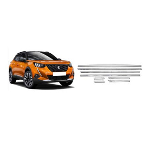 PEJO 301 KROM CAM ÇITASI