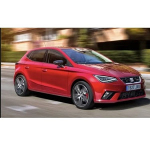 İBİZA 2017+ TAMTUR 14 PARÇA CAM ÇITASI