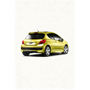 Peugeot 207 Fiber Spoiler