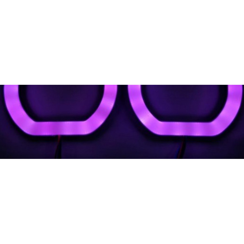 IQ ELEKTRONİK F SERİ 100 MM 2'Lİ SET U TİPİ MOR ANGEL HALKA