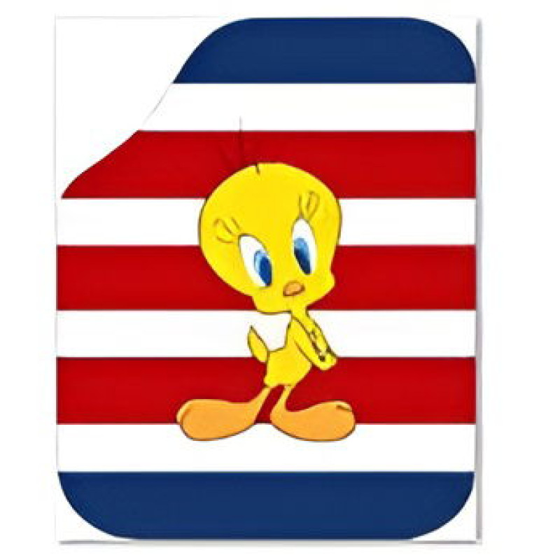 GENEL MARKA DEKOR PASPAS TWEETY 4'LÜ SET