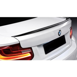 F-22 BOYALI SPOİLER