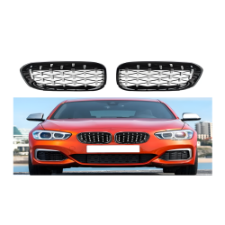 F-20 (15-17) DİAMOND PANJUR