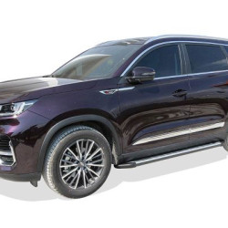 Chery Tiggo 8 Pro Faba Yan Basamak Gri 2023 ve Sonrası