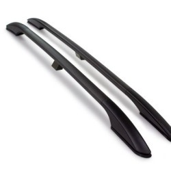 Citroen DS4 Solid Tavan Çıtası Siyah Yapıştırma 2 Parça 2011 ve Sonrası