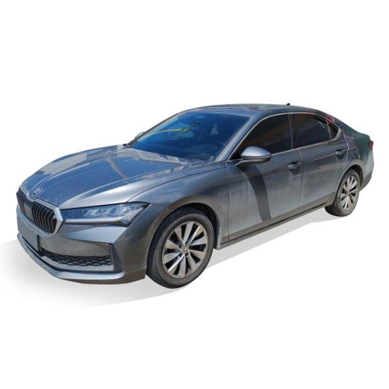 OMSA Skoda Superb Krom Cam Çerçevesi 10 Parça 2024 ve Sonrası