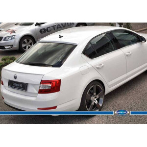 Skoda Super B Anatomik Spoiler 2009-2015 Arası