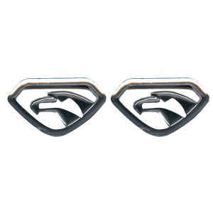 Space Kartal Kafası Logosu