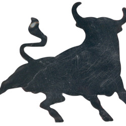 Space Krom Boğa Logo / YACI40