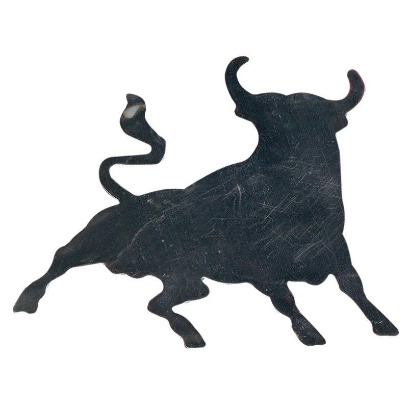 Space Krom Boğa Logosu