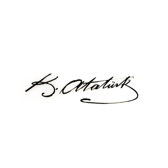 Space Metalize Sticker (İmza) YACI125