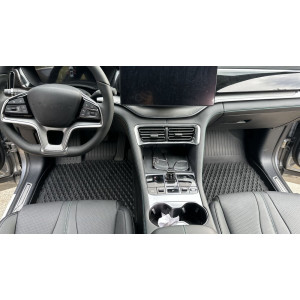 Rizline Premium 9D BYD Seal U Elektrikli 2023 Sonrası Paspas