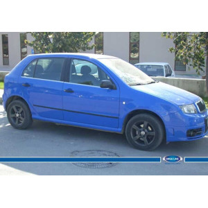OMSA Skoda Fabia 1 HB Krom Cam Alt Çıtası 2000-2007 Arası